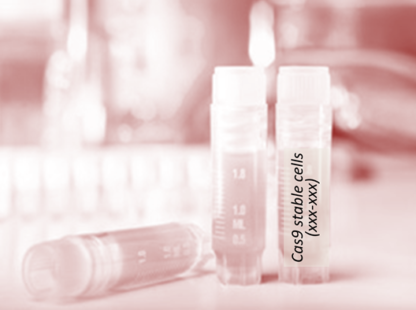 Cas9 Stable Cell Line (HEL)