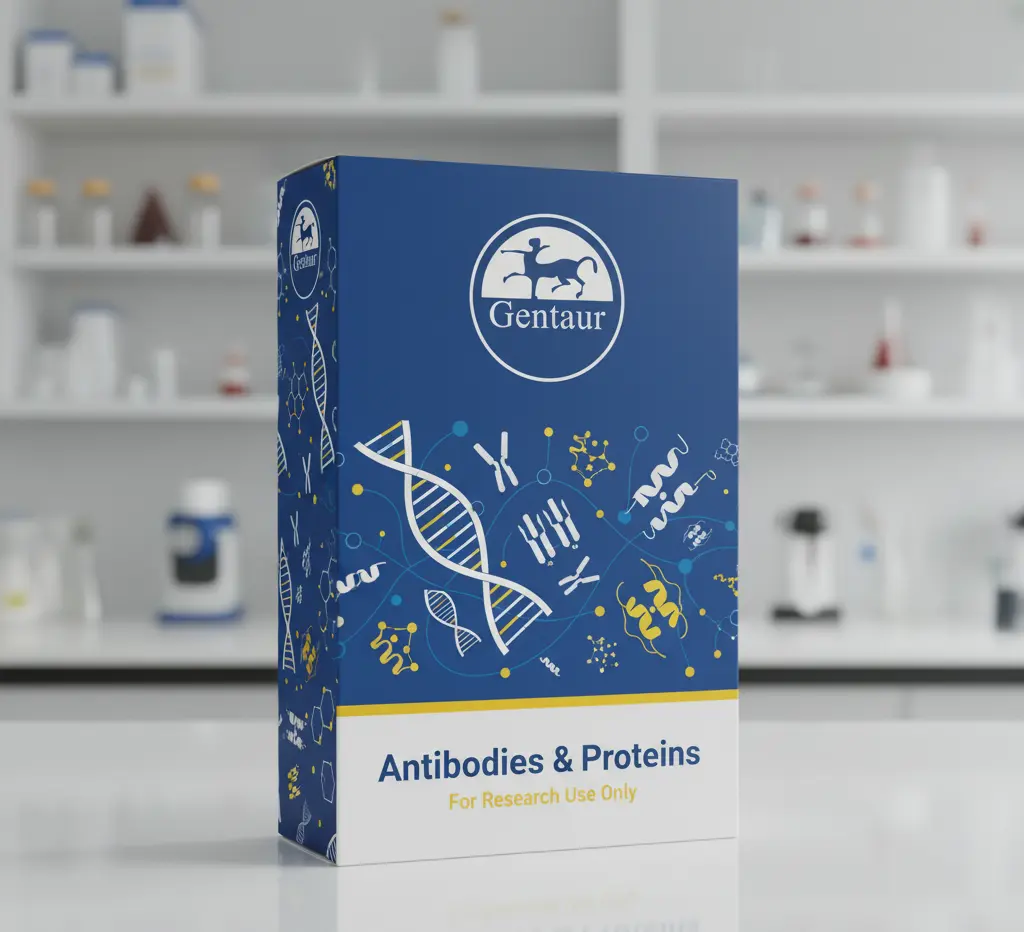 Rabbit anti Porphyromonas gingivalis kgp, 50 ug