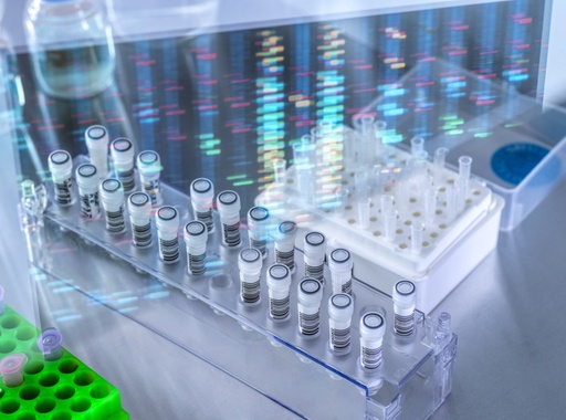 [GEN-BXS1003-sox] pMEV2HA-SOX2